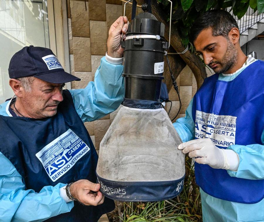Tra Lazio e Campania già sette vittime Frenata sulle donazioni di sangue «Maniche lunghe e spray antizanzara»