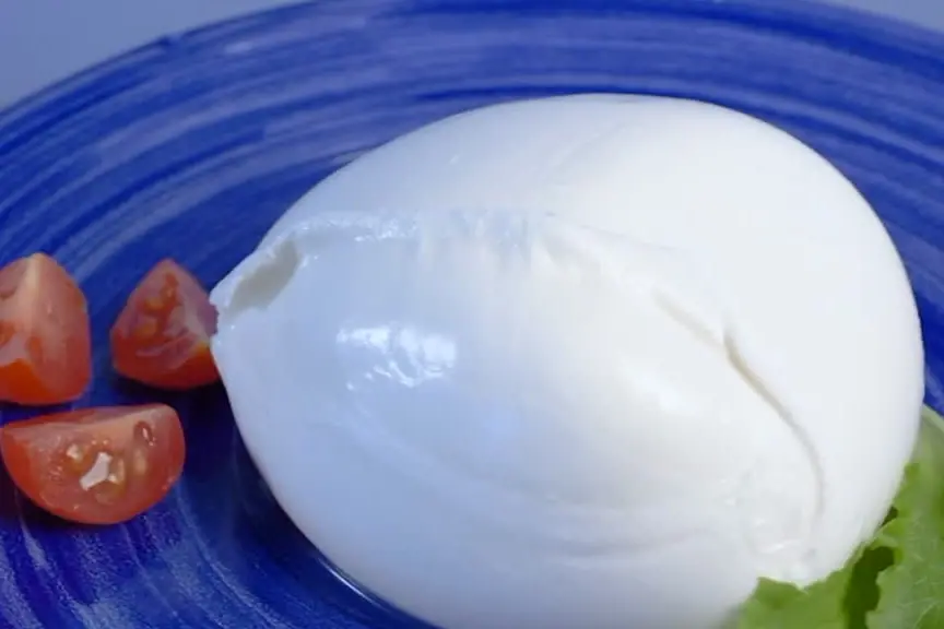 Formaggi di bufala, vendite in crescita: +8% in valore e volumi