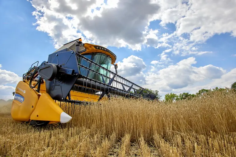Una mietitrebbia al lavoro su un campo di grano
