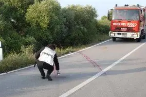 Incidente stradale mortale dove ha perso la vita BONARIA ROMINA