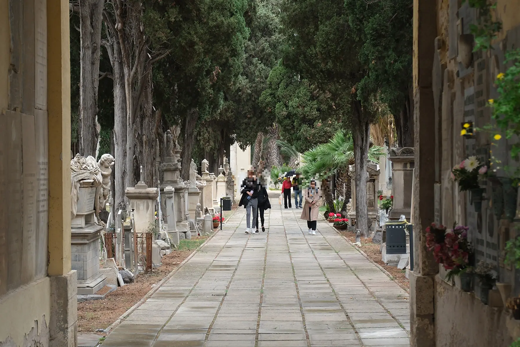 Il cimitero di Bonaria (archivio)