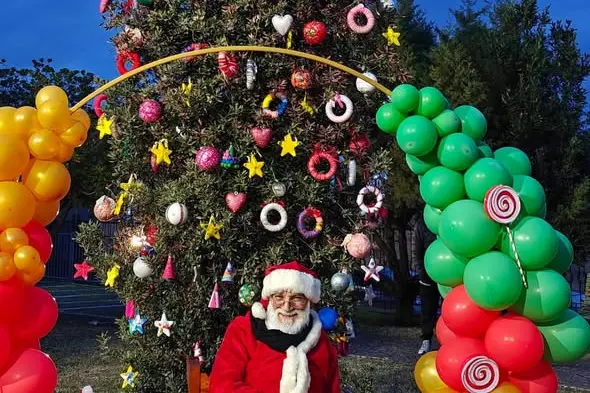 L'albero di Natale acceso a Settimo