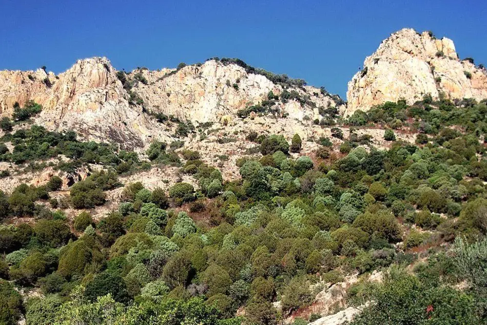 Veduta dell'area protetta di Monte Arcosu