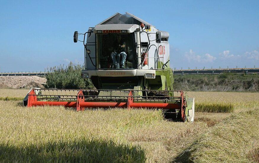 Competitività, la corsa delle imprese agricole