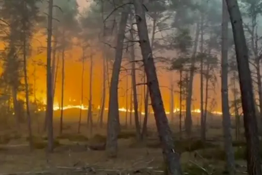 Vasto incendio nella foresta di Fontainebleau alle porte di Parigi