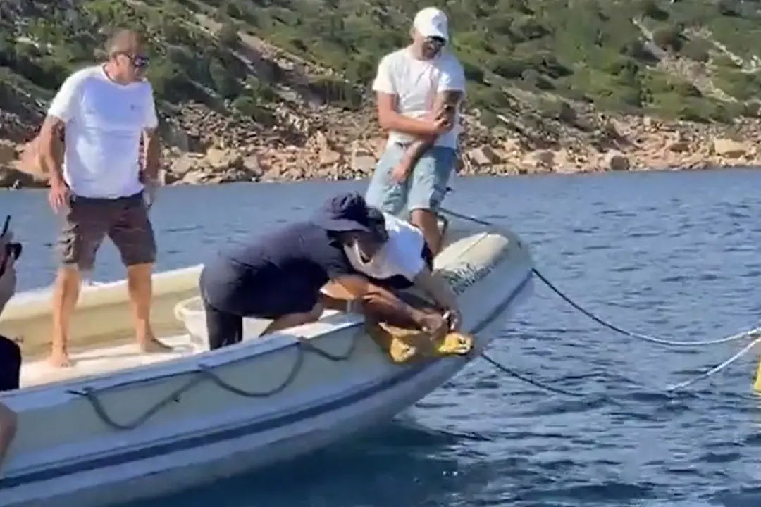 Sardegna, Amp Tavolara: curata e rimessa in mare una tartaruga Caretta Caretta