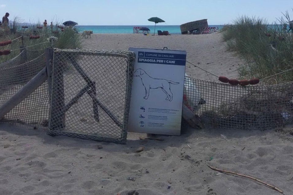 Cagliari: al Poetto dimenticata la spiaggia per i cani