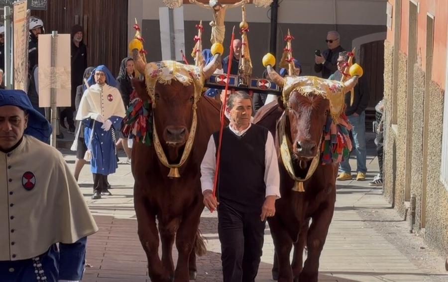 Sant’Efisio: le traccas no, il cocchio (forse) sì
