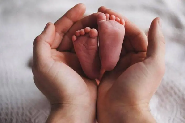 Immagine simbolo (foto da google)