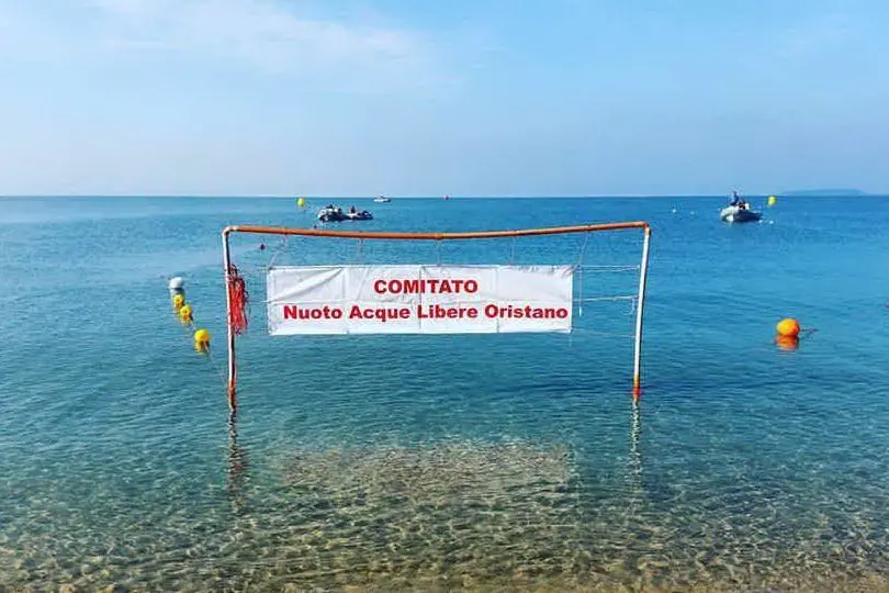 La partenza della gara (da Nuoto in acque libere in Sardegna&quot;)