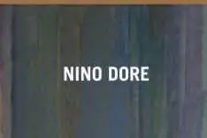 LA COPERTINA DI UNA DELLE MOSTRE DI DINO DORE
