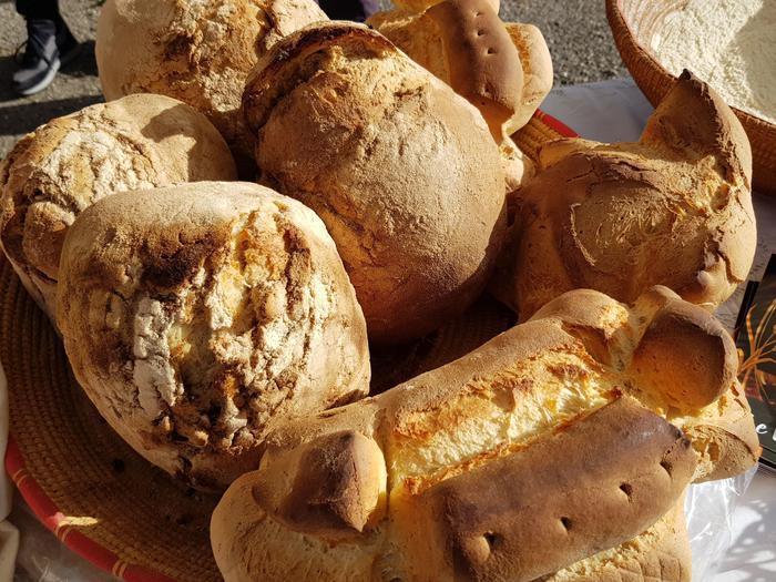 Il pane, simbolo, nutrimento e cultura: a Olbia due giorni di degustazioni, laboratori ed eventi