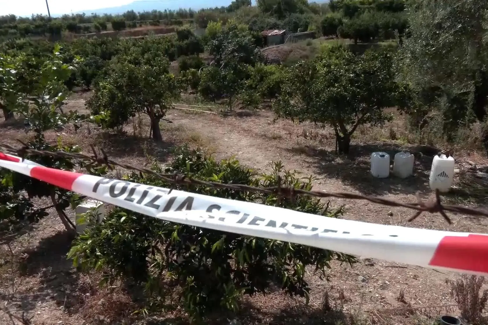 Uccisa a colpi di pietra in Calabria, fermato il marito sardo: aveva cercato di depistare le indagini L'area dove è stata uccisa la donna di 72 anni uccisa con alcuni colpi alla testa a Corigliano-Rossano, nel Cosentino. 19/08/2026, ANSA