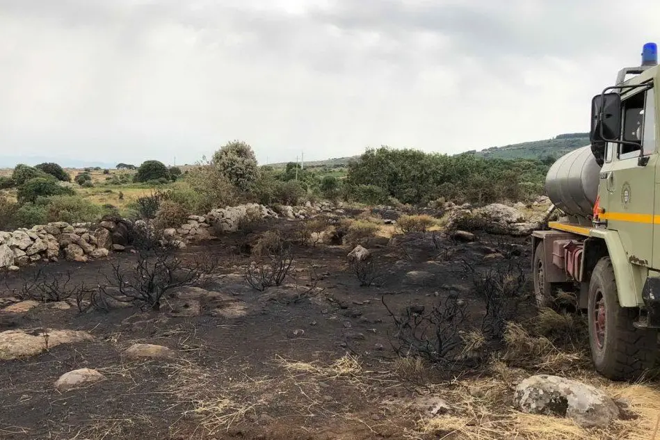 I resti del territorio incendiato (foto L'Unione Sarda - Sanna)