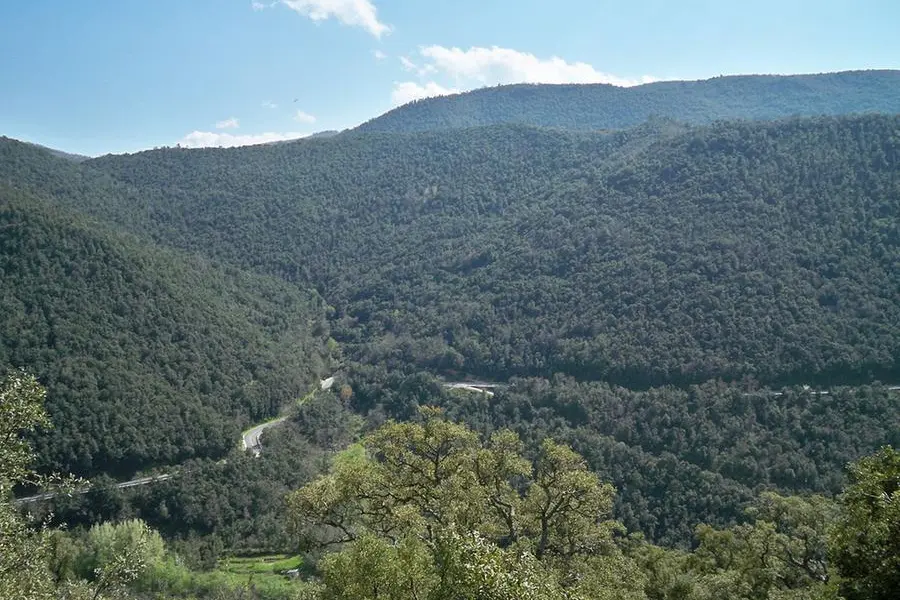 Un tratto della strada statale 128 "Centrale Sarda" (foto wikipedia)
