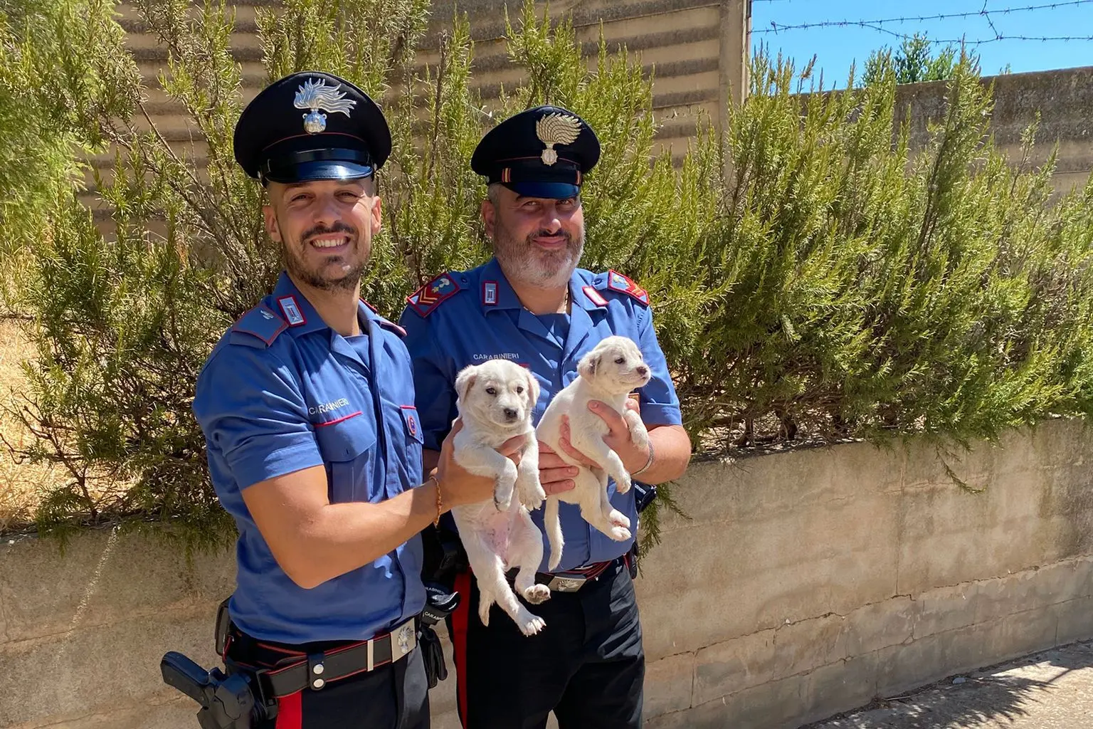 I carabinieri con i due cuccioli