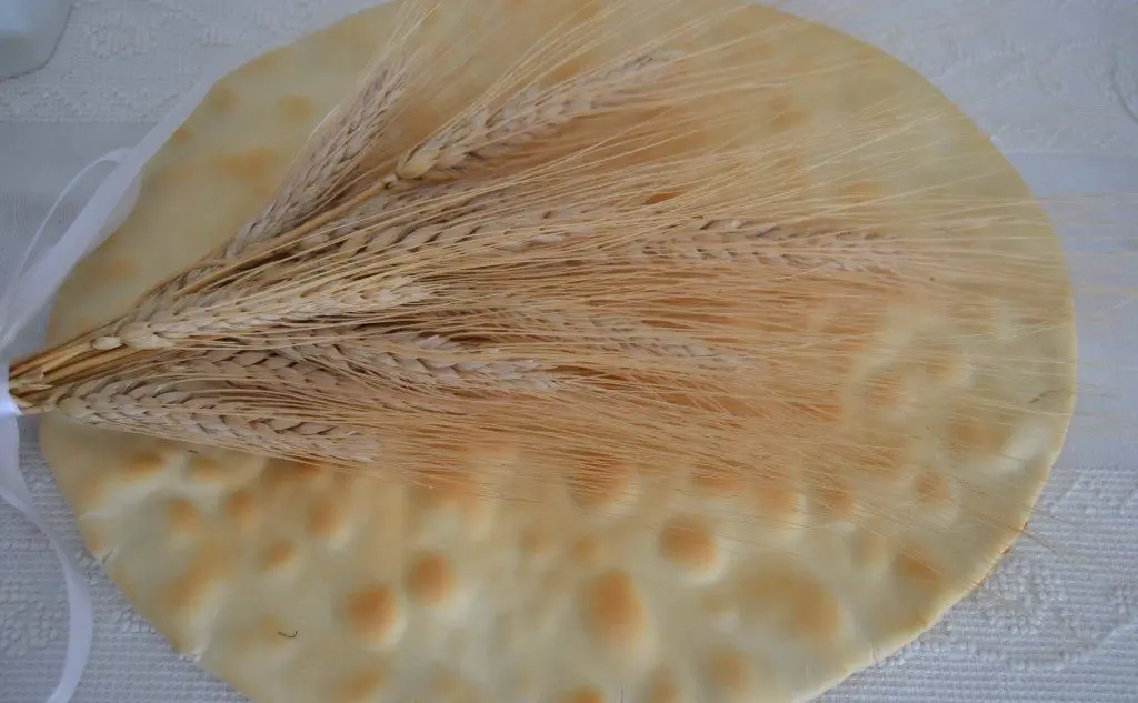 Una spiga di Trigu Biancu Bonorvesu sopra un pane zichi, il pane tradizionale di Bonorva (Foto Francesco Morittu)