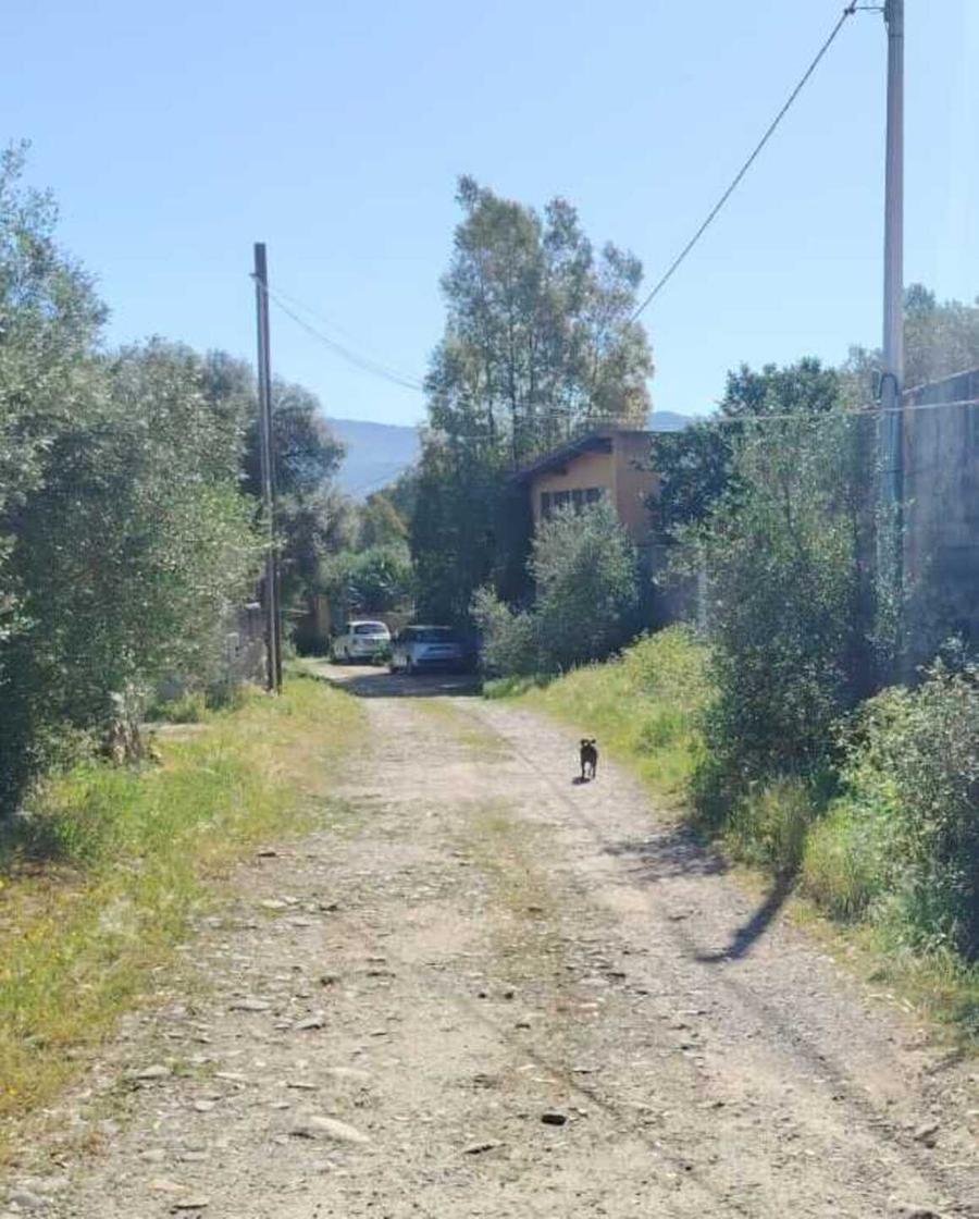 Cavi telefonici pericolanti a San Gaetano: «Rischiano di spezzarsi»