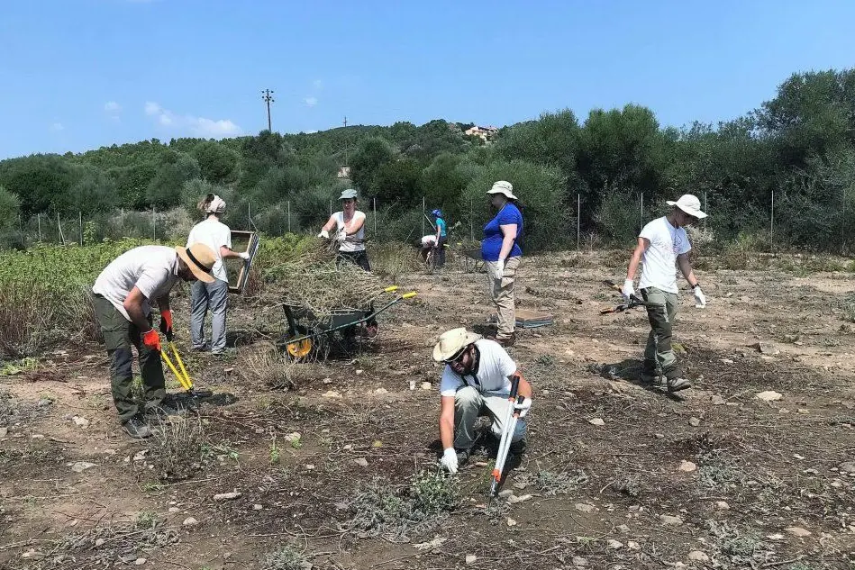 Primi scavi sul sito di Sarcapos (archivio L'Unione Sarda)