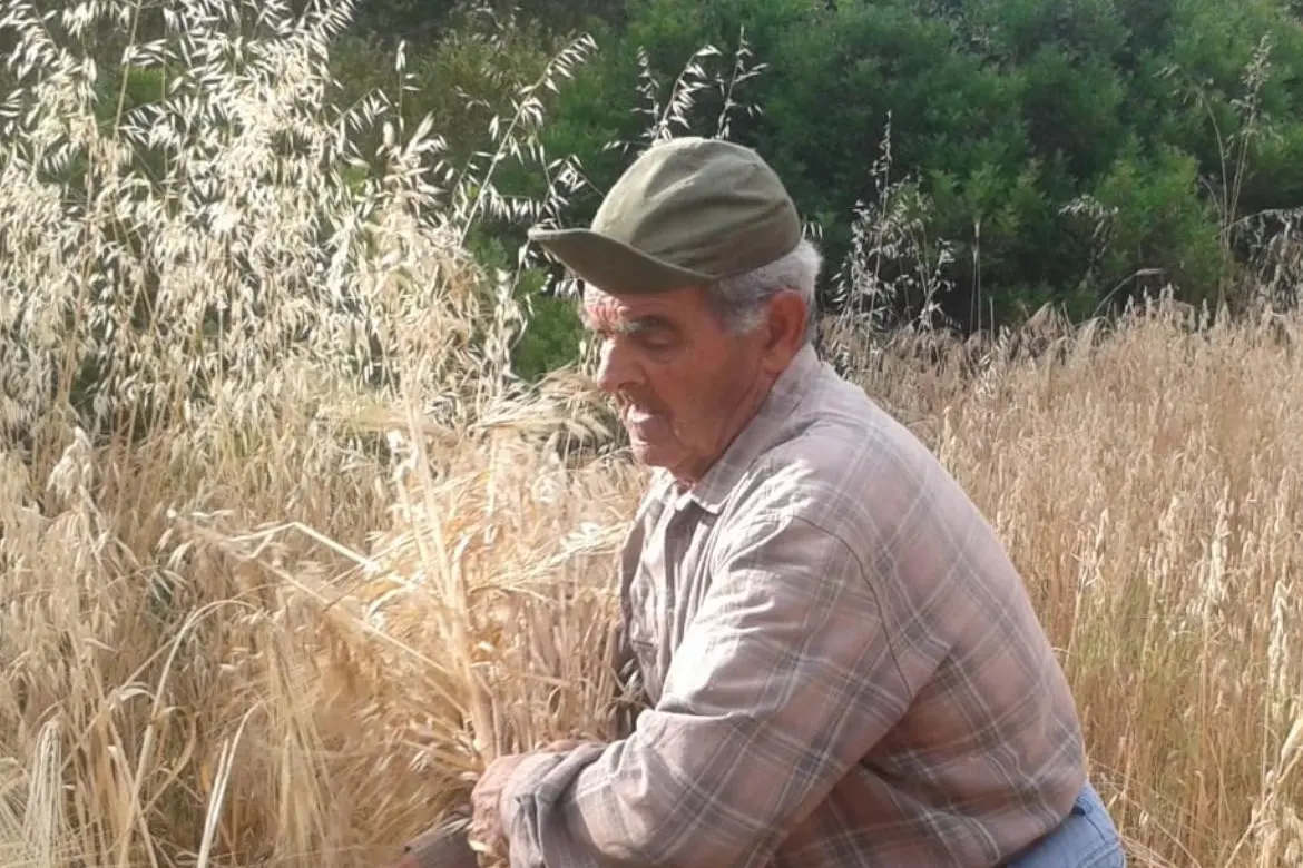 Mario Vargiolu