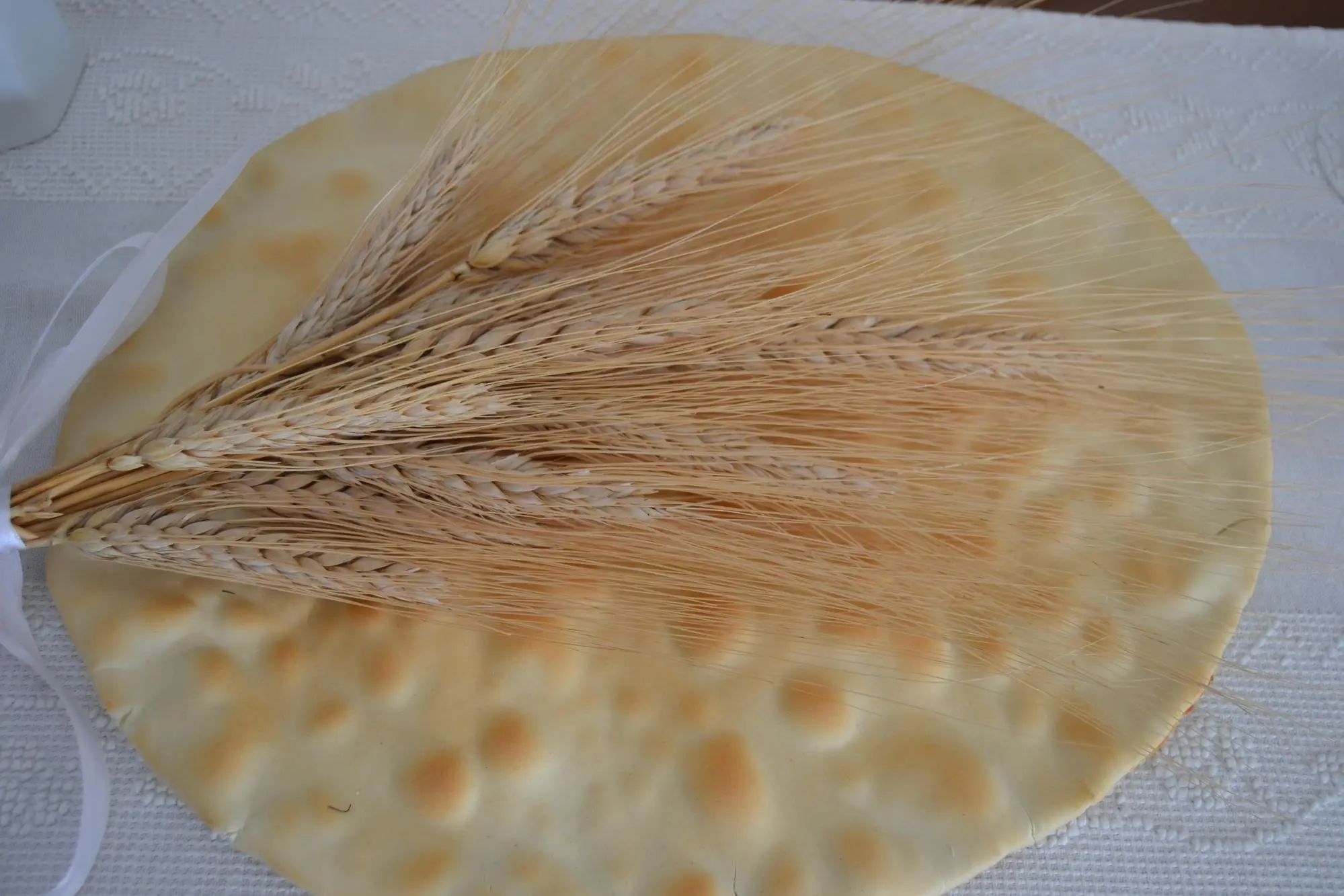 Una spiga di Trigu Biancu Bonorvesu sopra un pane zichi, il pane tradizionale di Bonorva (foto L'Unione Sarda)