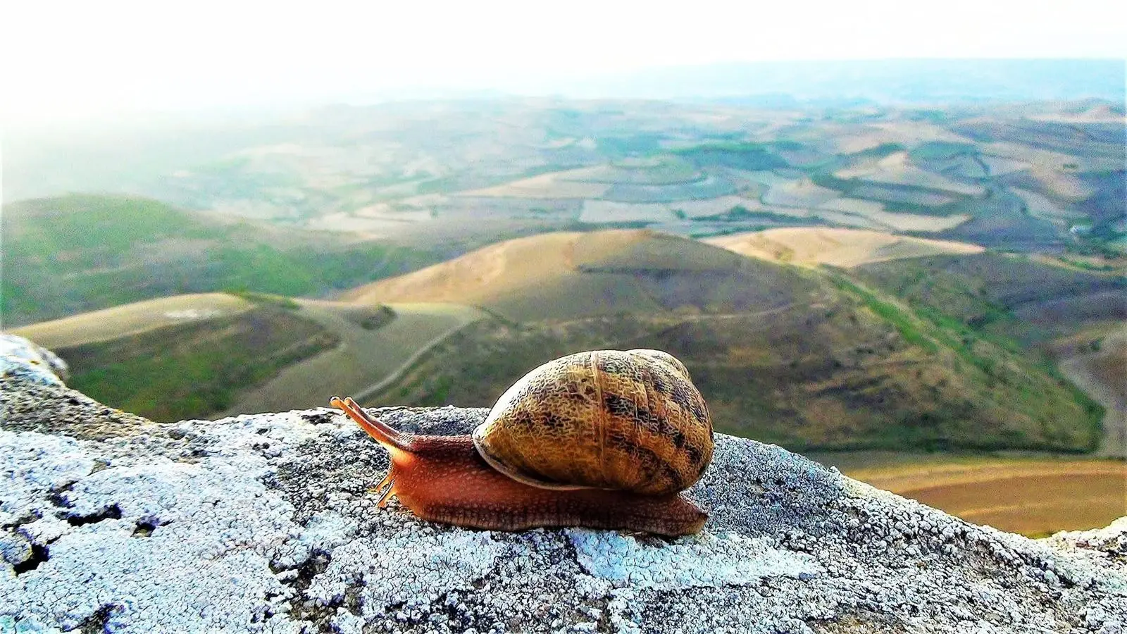 https://immagini.unionesarda.it/version/c:OTY3ZWJkZWEtNTFmYy00:NWUxMWJjMTUtN2M4Mi00/image.webp?f=16:9