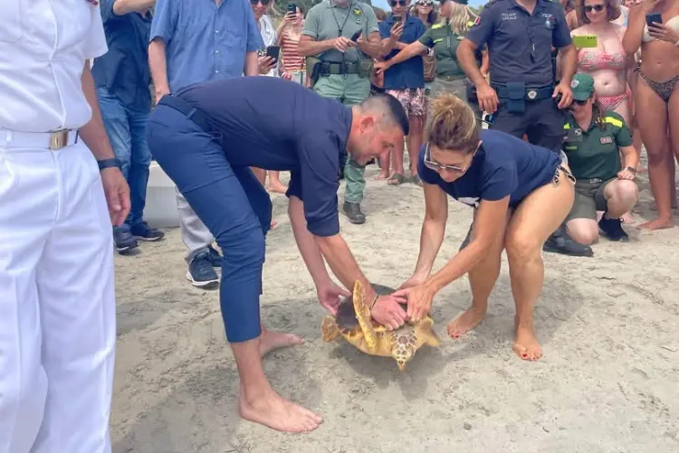 La liberazione della tartaruga a La Pelosa (foto concessa)