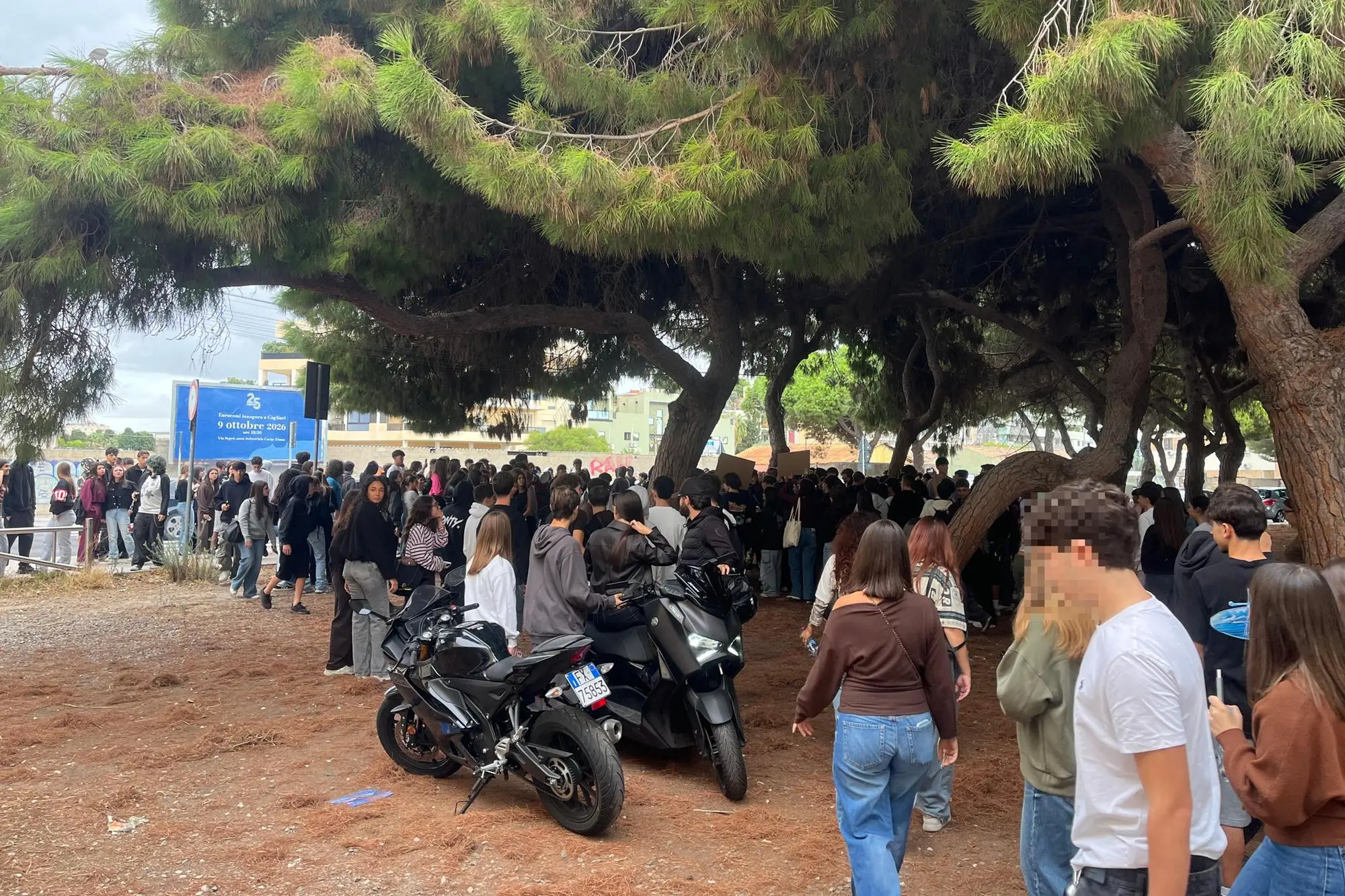 La protesta degli studenti nella pineta di Su Siccu