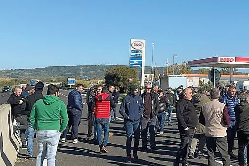 Manifestazione a Tramatza (Foto d'archivio)