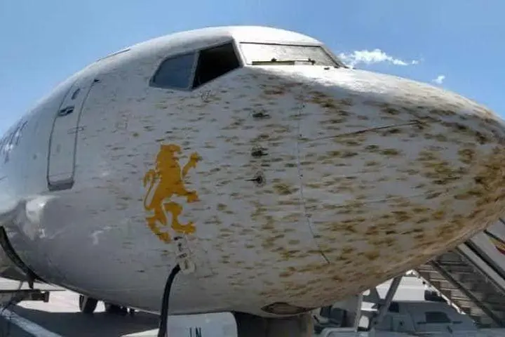 Il muso dell'aereo dopo l'urto con lo sciame (Foto Aeronews Facebook)