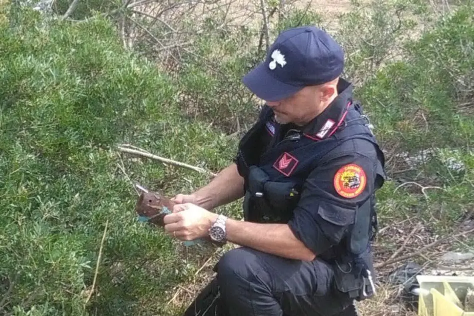 Un artificiere dei carabinieri al lavoro