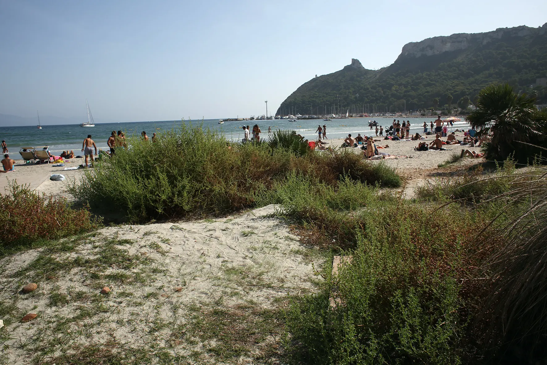 Le dune al Poetto (Archivio L'Unione Sarda)