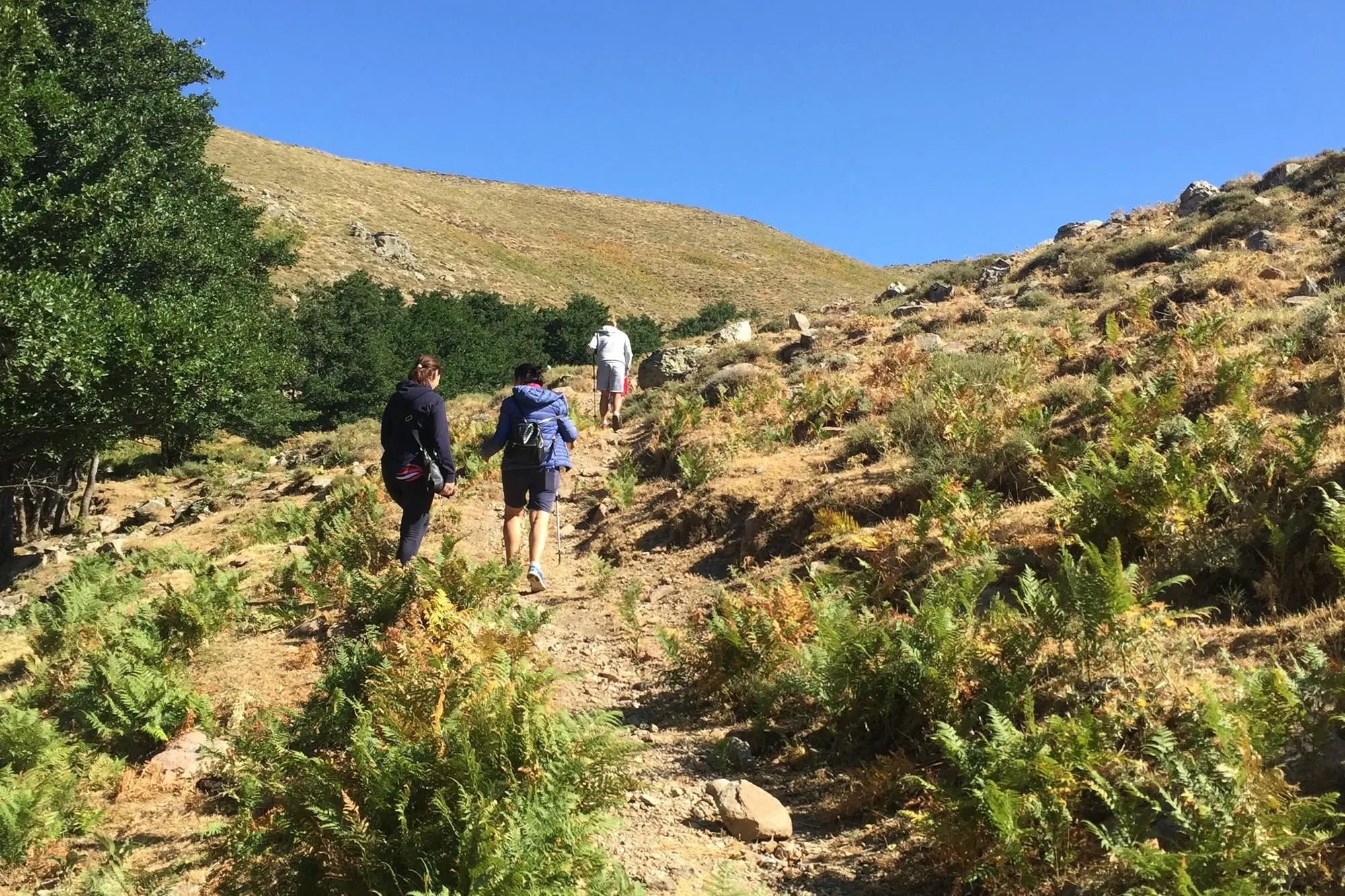 The path leading to Punta La Marmora: 80% of Arzana's territory is occupied by civic uses.