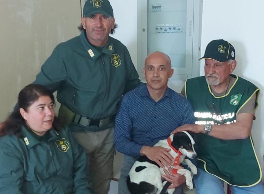 Recuperato il cane sulla Statale 195