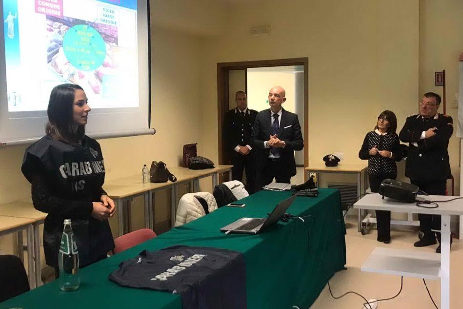 Pula: i carabinieri visitano l'Azuni per parlare di legalità