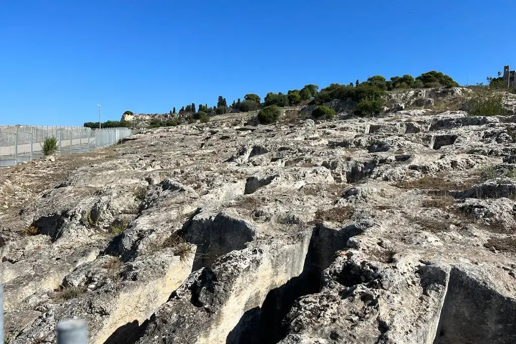 Necropoli Tuvixeddu (Archivio L'Unione Sarda - Ungari)