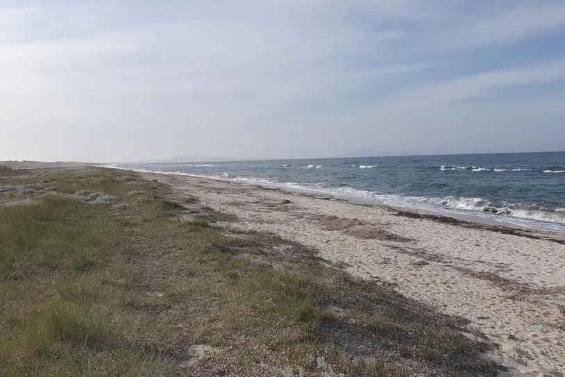 Un tratto della spiaggia di Fiume Santo (L'Unione Sarda - Tellini)