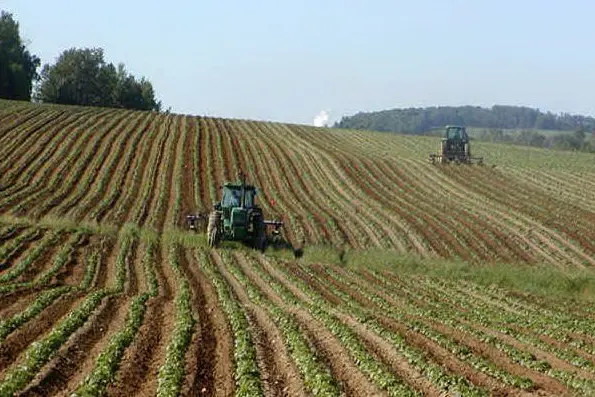 Agricoltura (immagine simbolo)
