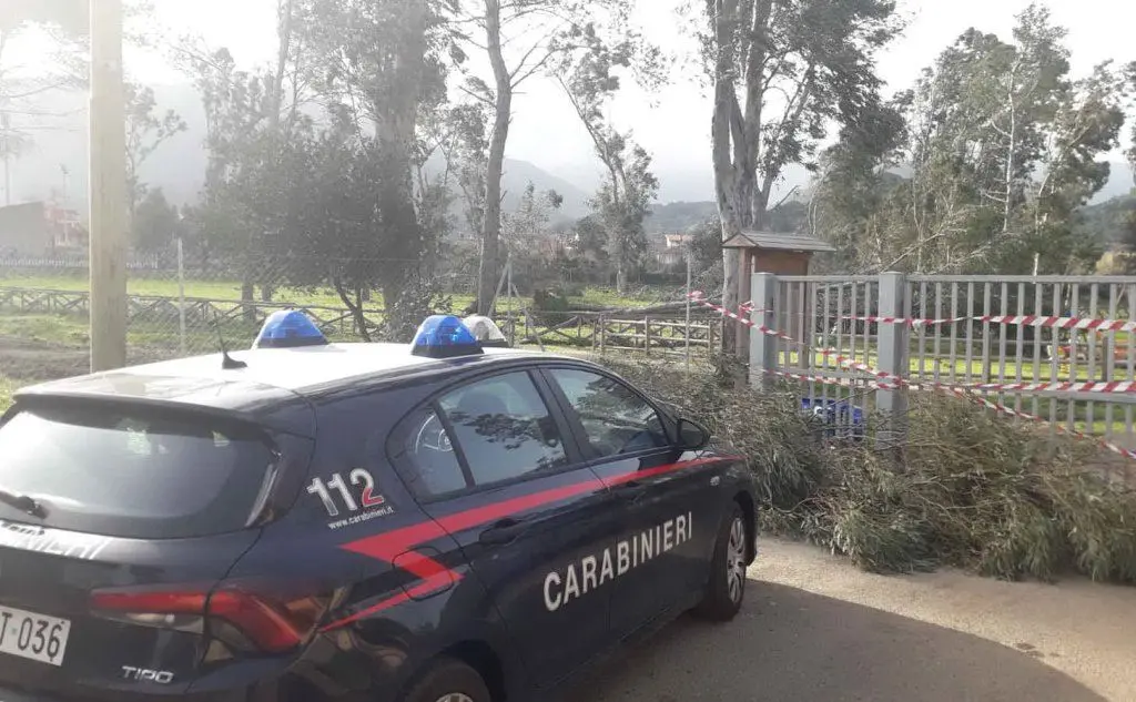 Il parco chiuso a Gonnosfanadiga (foto Antonio Pintori)