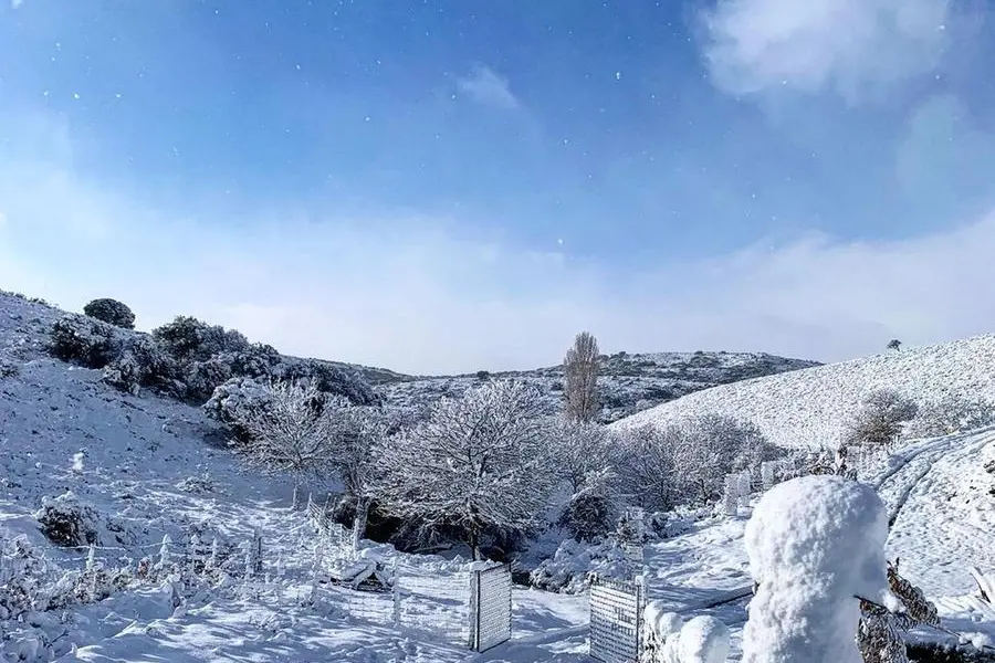 Sardegna imbiancata dalla neve.  Una galleria con le foto più belle e suggestive inviate dai lettori.  Aspettiamo anche i vostri scatti, su Whatsapp al numero 335.1546482 o via mail all'indirizzo redazioneweb@unionesarda.it. (Unioneonline/l.f.)