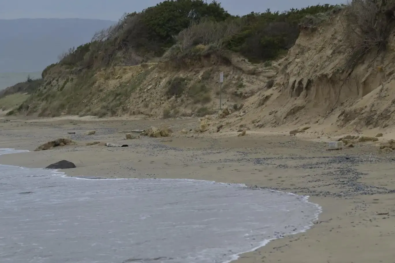 La spiaggia di Is Benas (foto concessa)