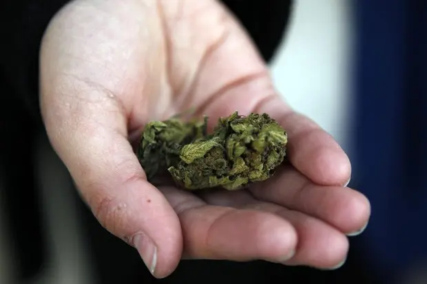 Marijuana (foto simbolo Ansa)