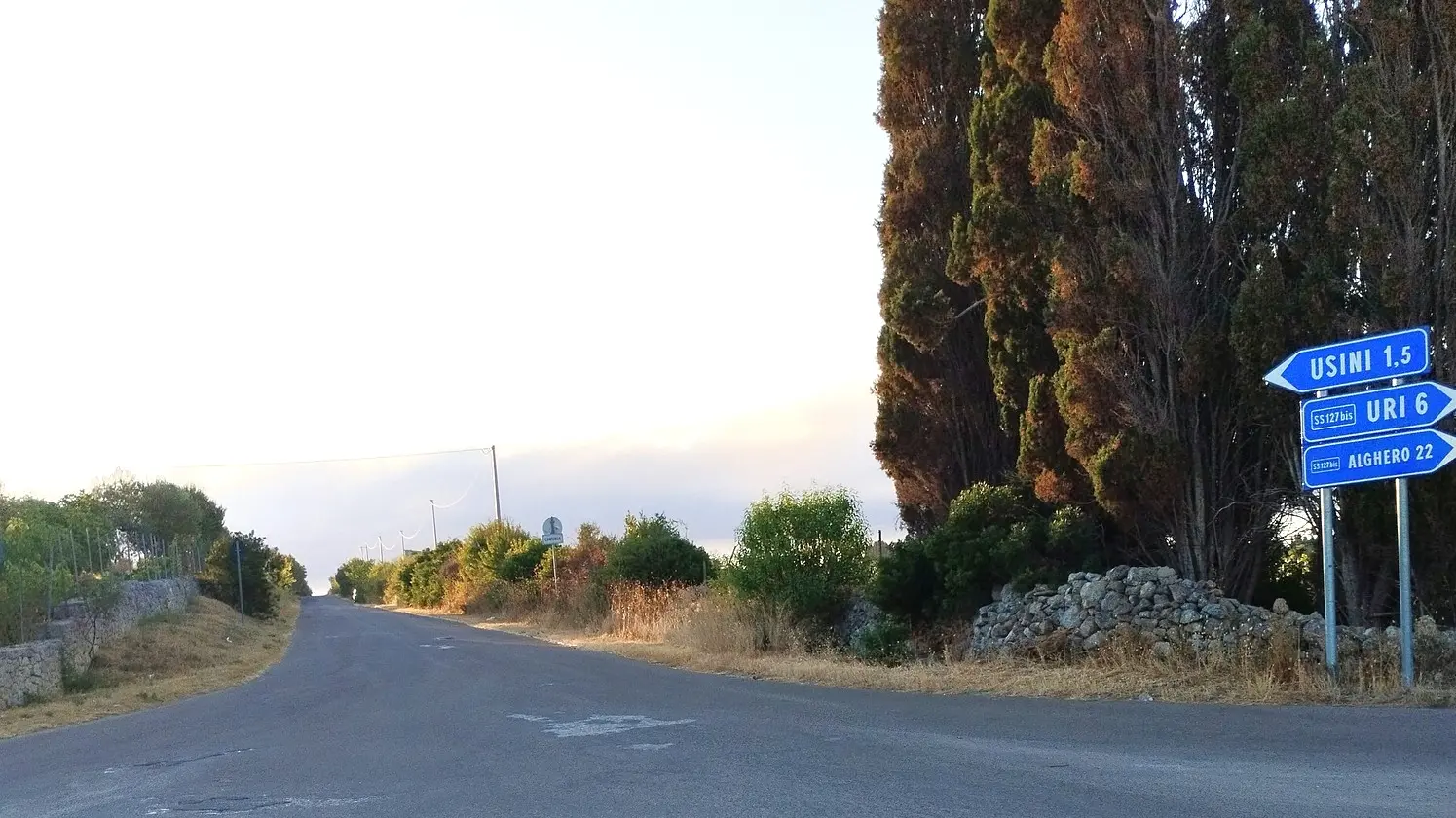 https://immagini.unionesarda.it/version/c:OTcyNDkzMmQtMGU0Ny00:NmNkNjdiNzEtMGE4MC00/image.webp?f=16:9