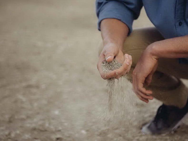 Ruba un chilo di sabbia dalla spiaggia: Muravera, ambulante nei guai