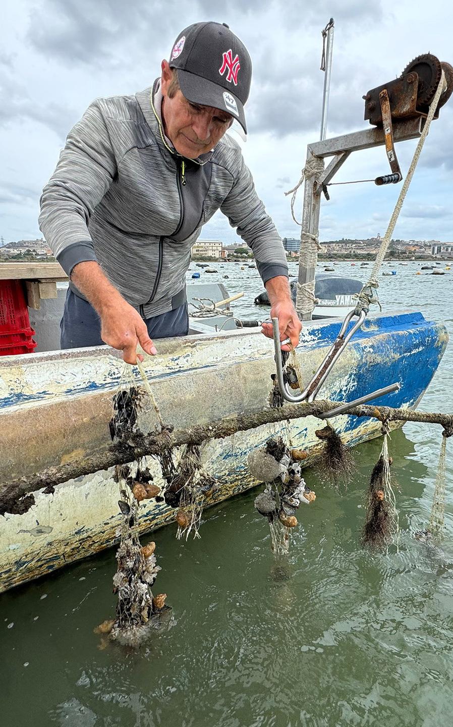 Santa Gilla, la laguna in agonia