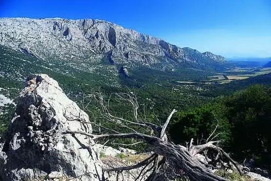 Il Supramonte