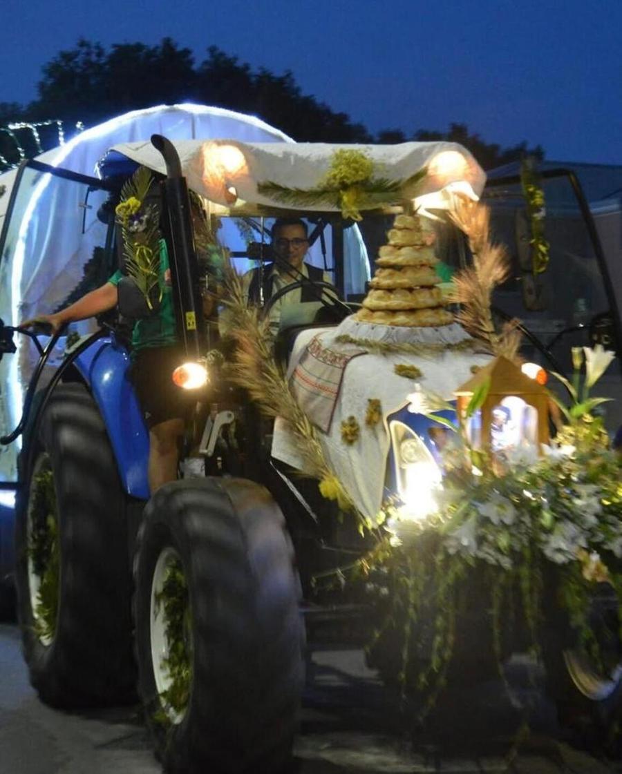 Processione di Sant’Antonio, presto le nuove regole per le traccas