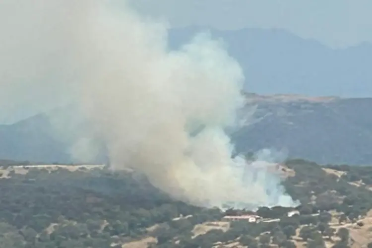 L'incendio nelle campagne di Pattada (foto forestale)