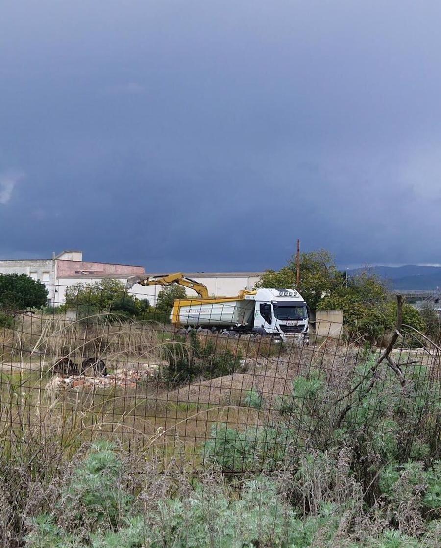 «Le ruspe spaventano la colonia felina», polemica contro il Comune