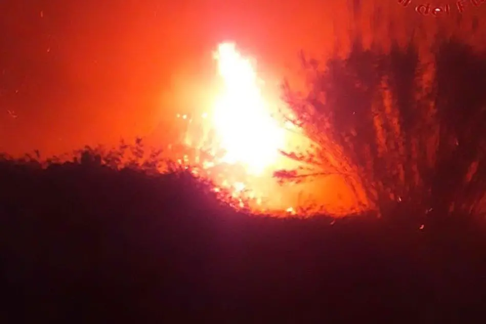 L'incendio a Bari Sardo (foto Vigili del fuoco)